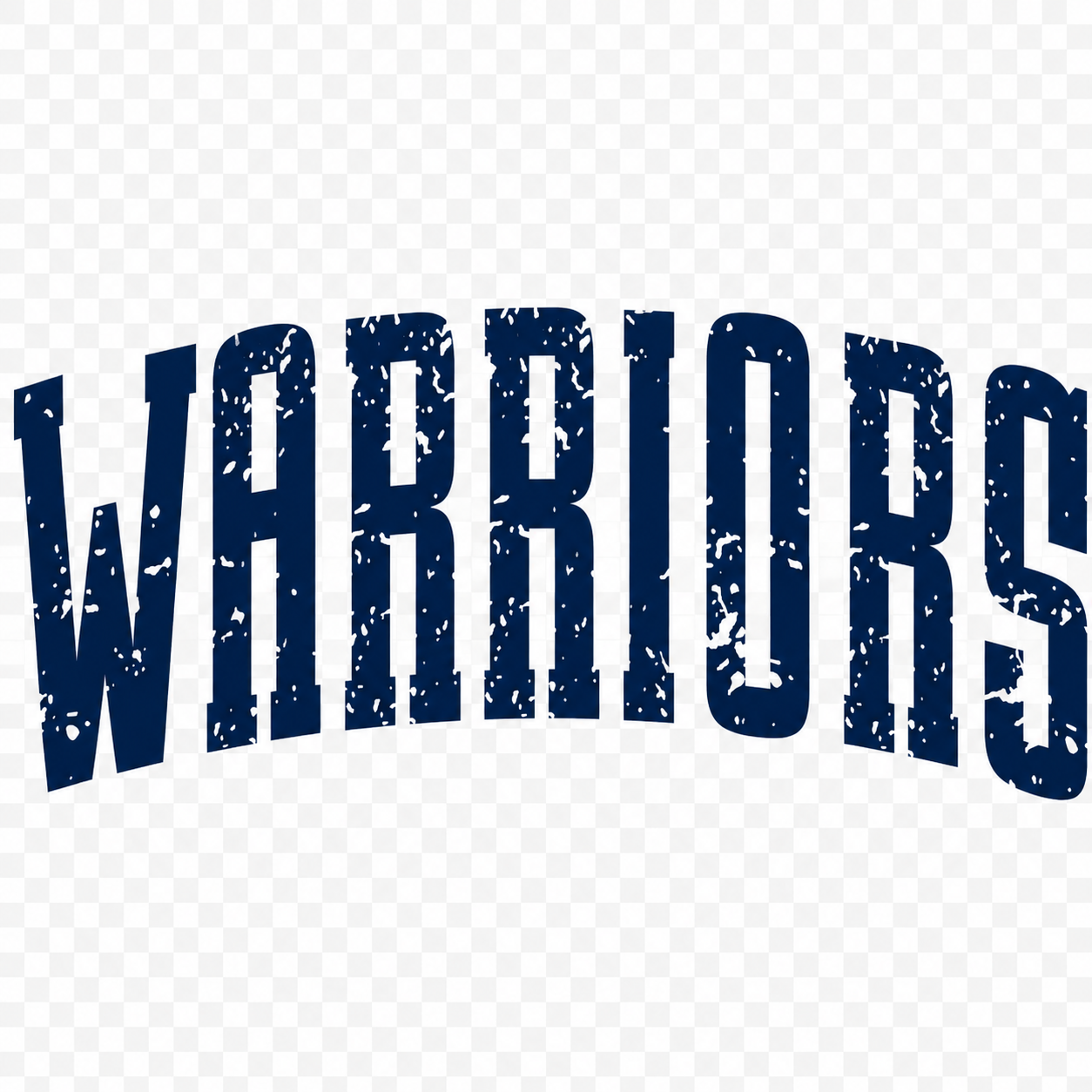 Navy Warriors